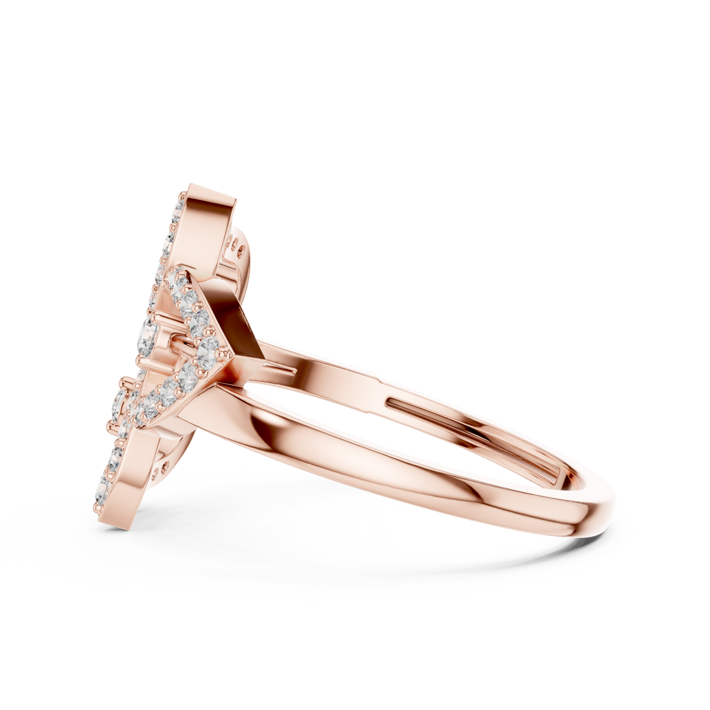 The Fancy Ring