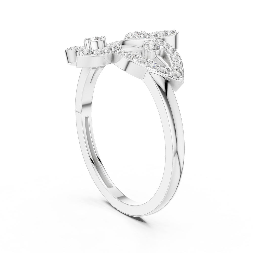 The Fancy Ring