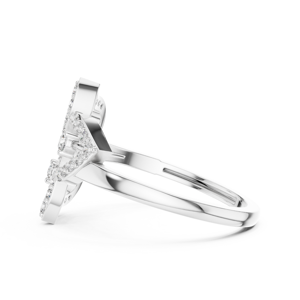 The Fancy Ring