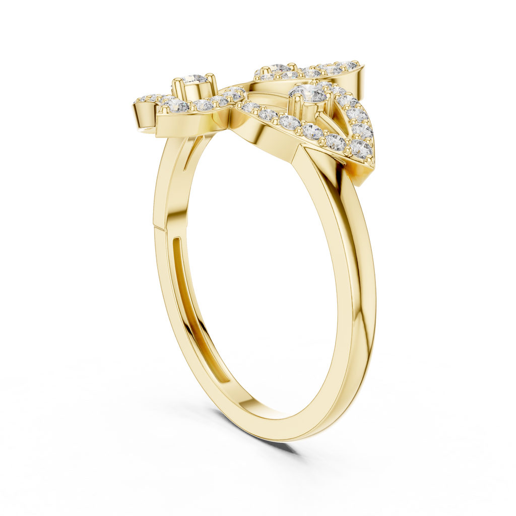 The Fancy Ring