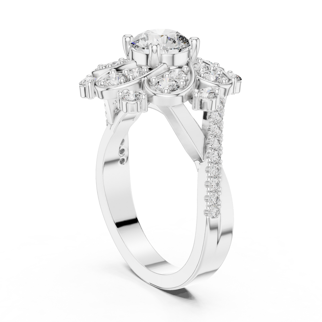 The Fancy Ring