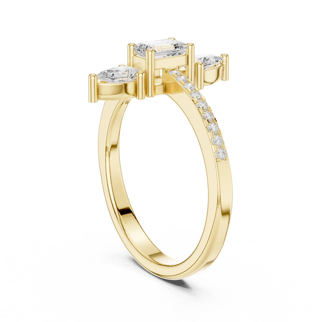 The Essential Ring