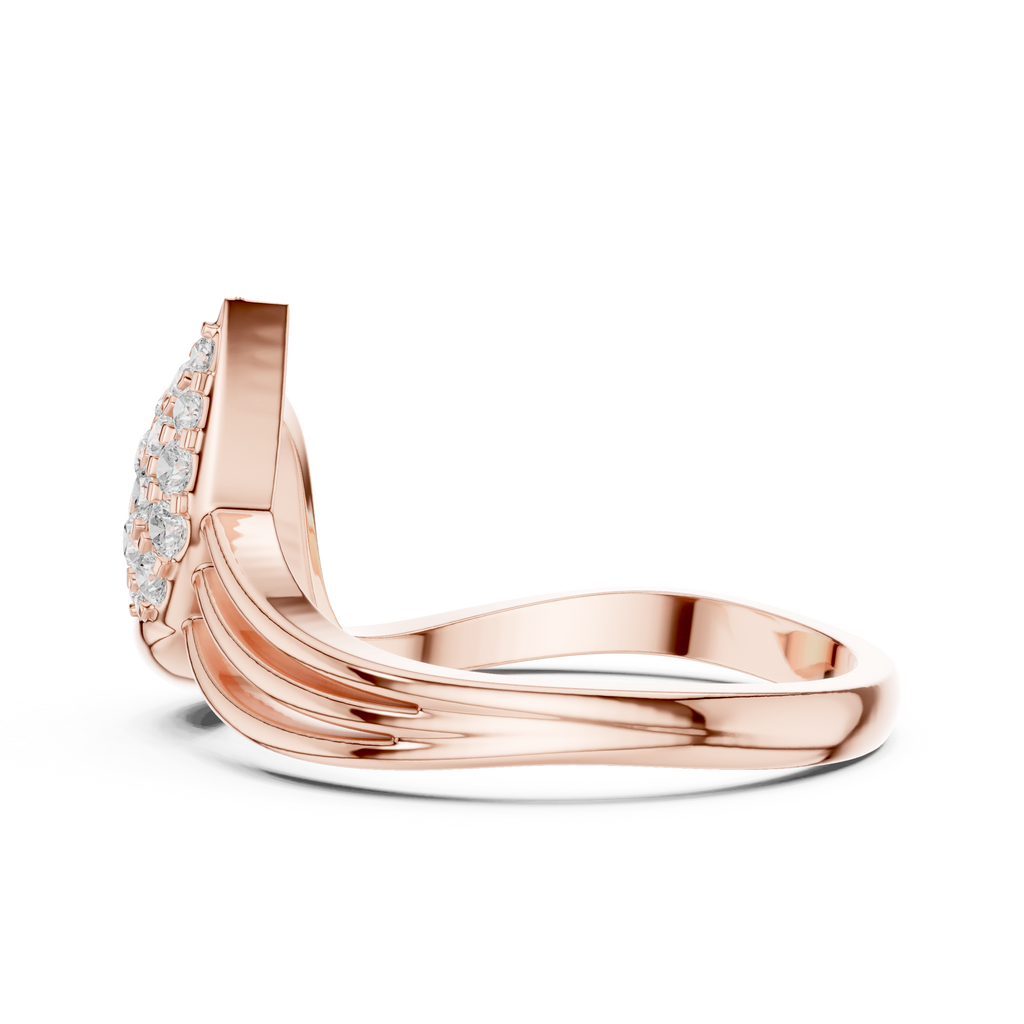 The Fancy Ring