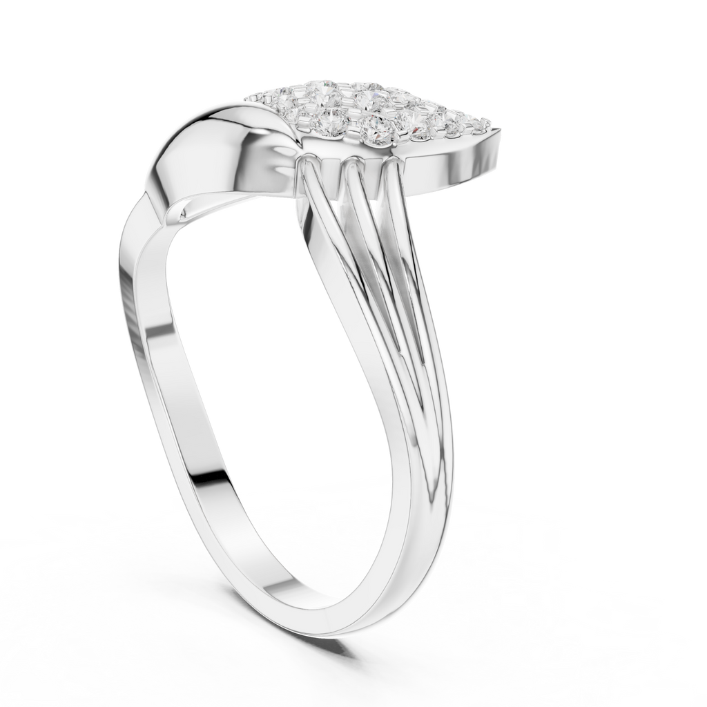 The Fancy Ring