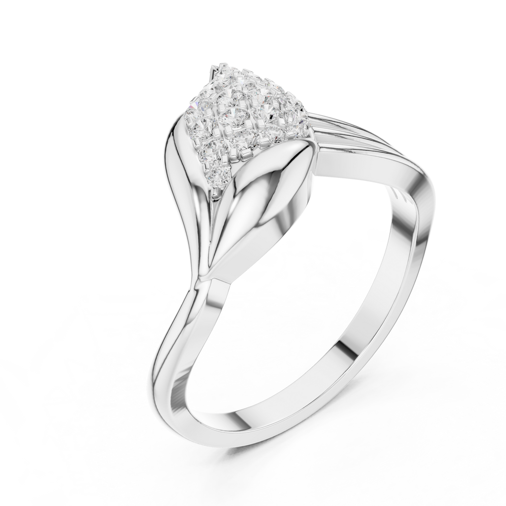 The Fancy Ring