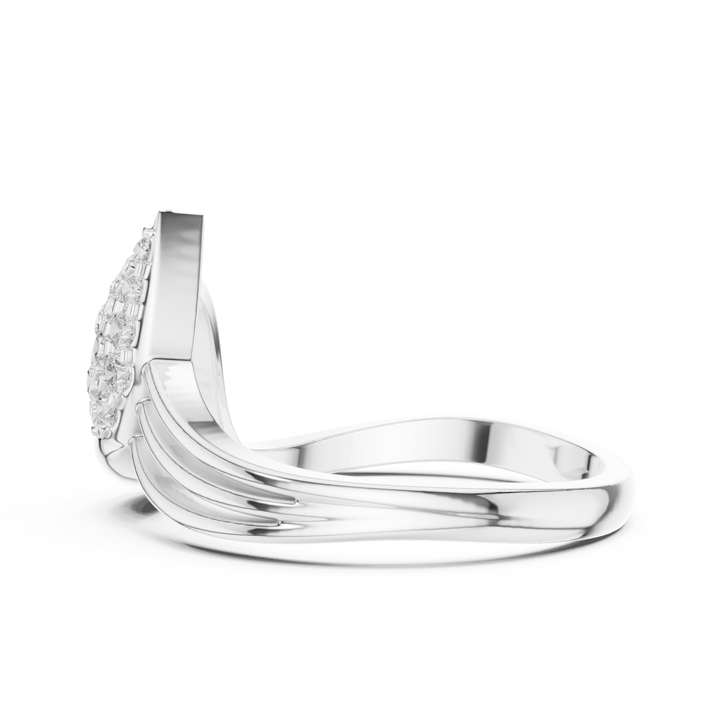 The Fancy Ring