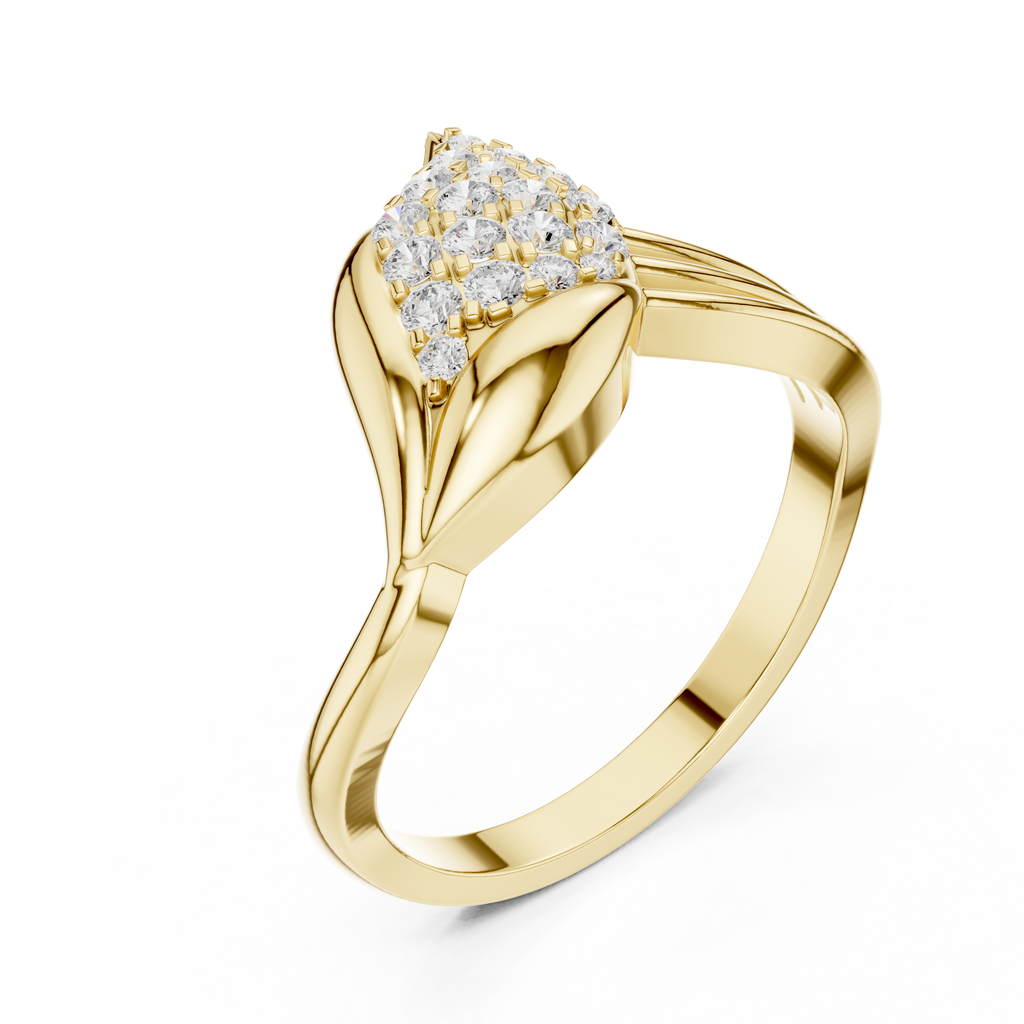 The Fancy Ring