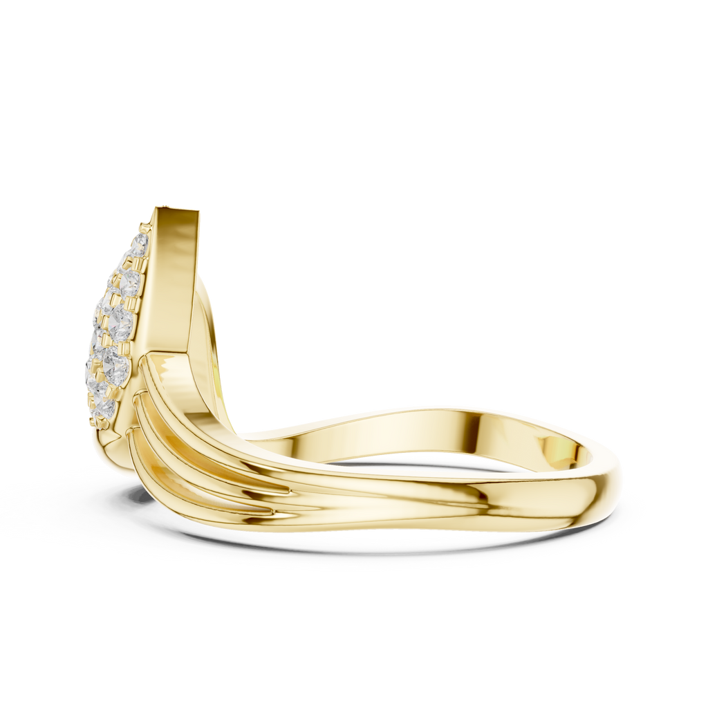 The Fancy Ring