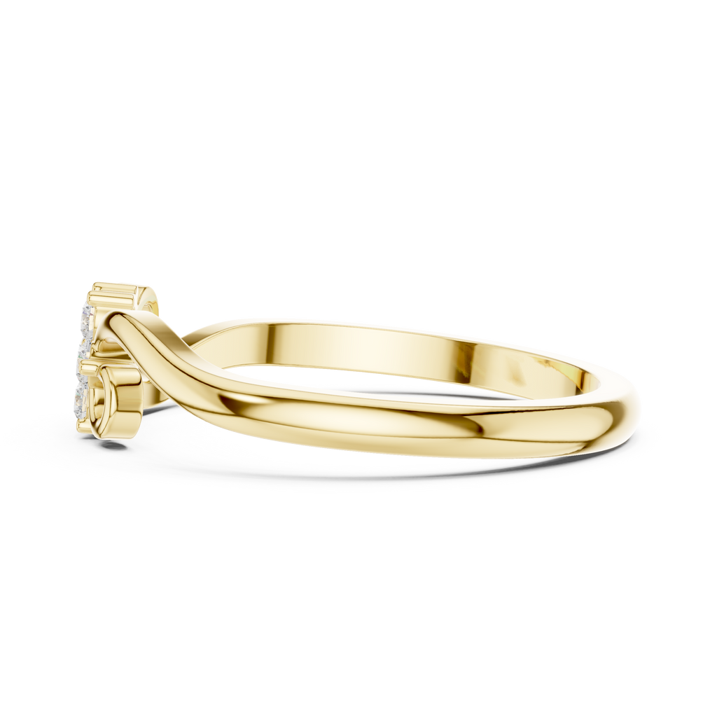The Essential Ring