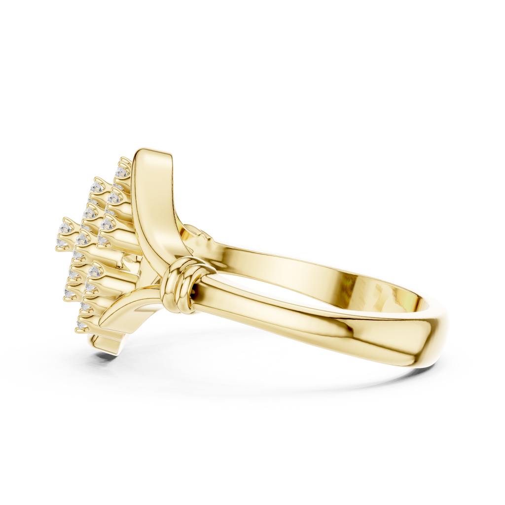 The Essential Ring