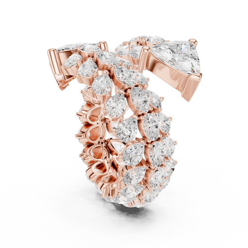 The Fancy Ring