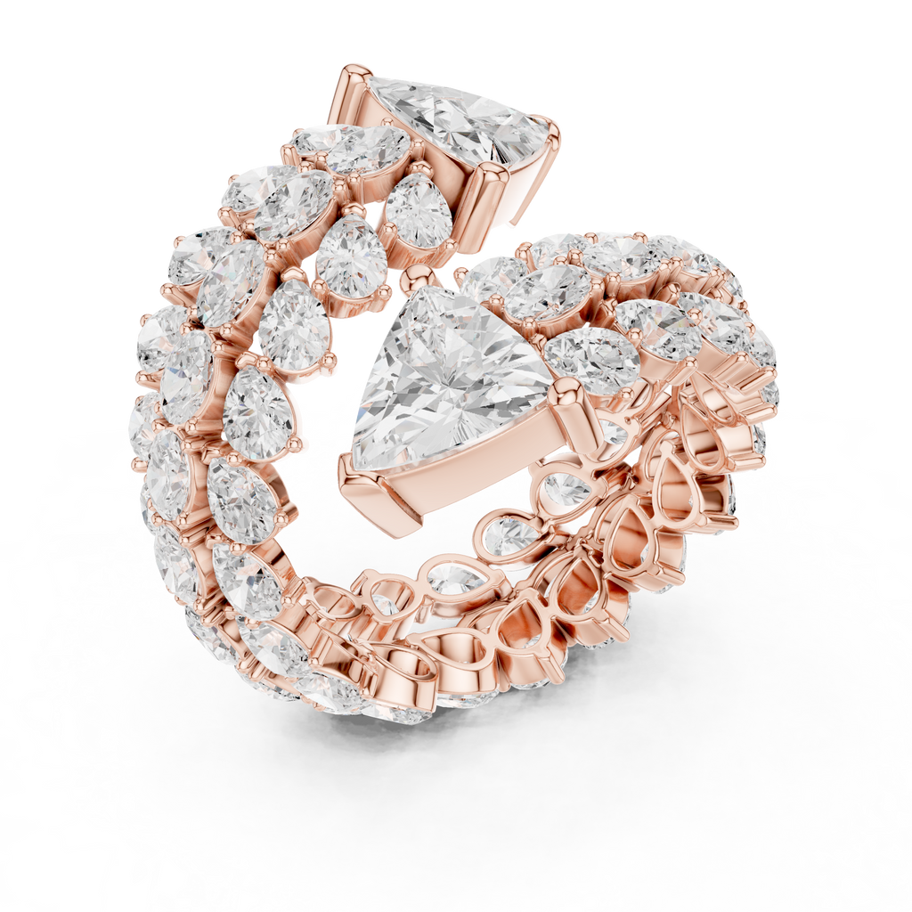 The Fancy Ring
