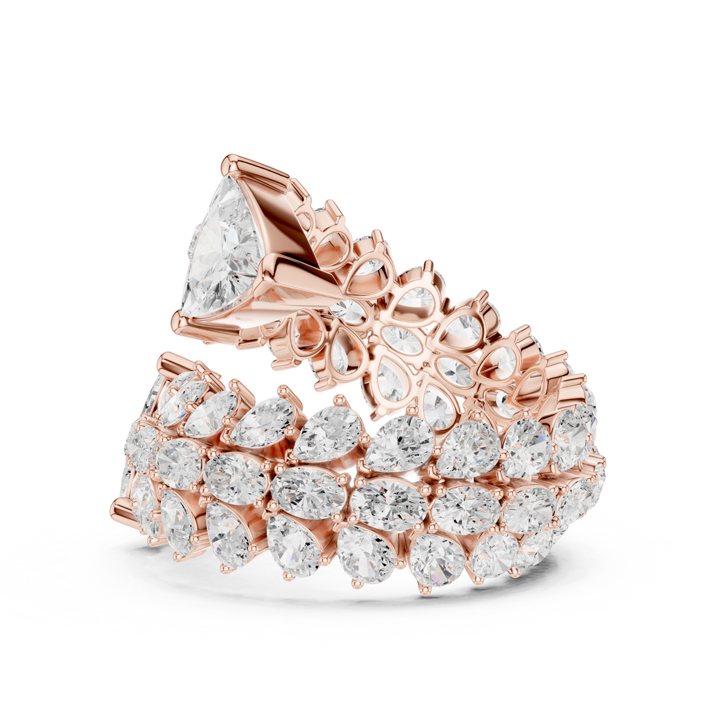 The Fancy Ring