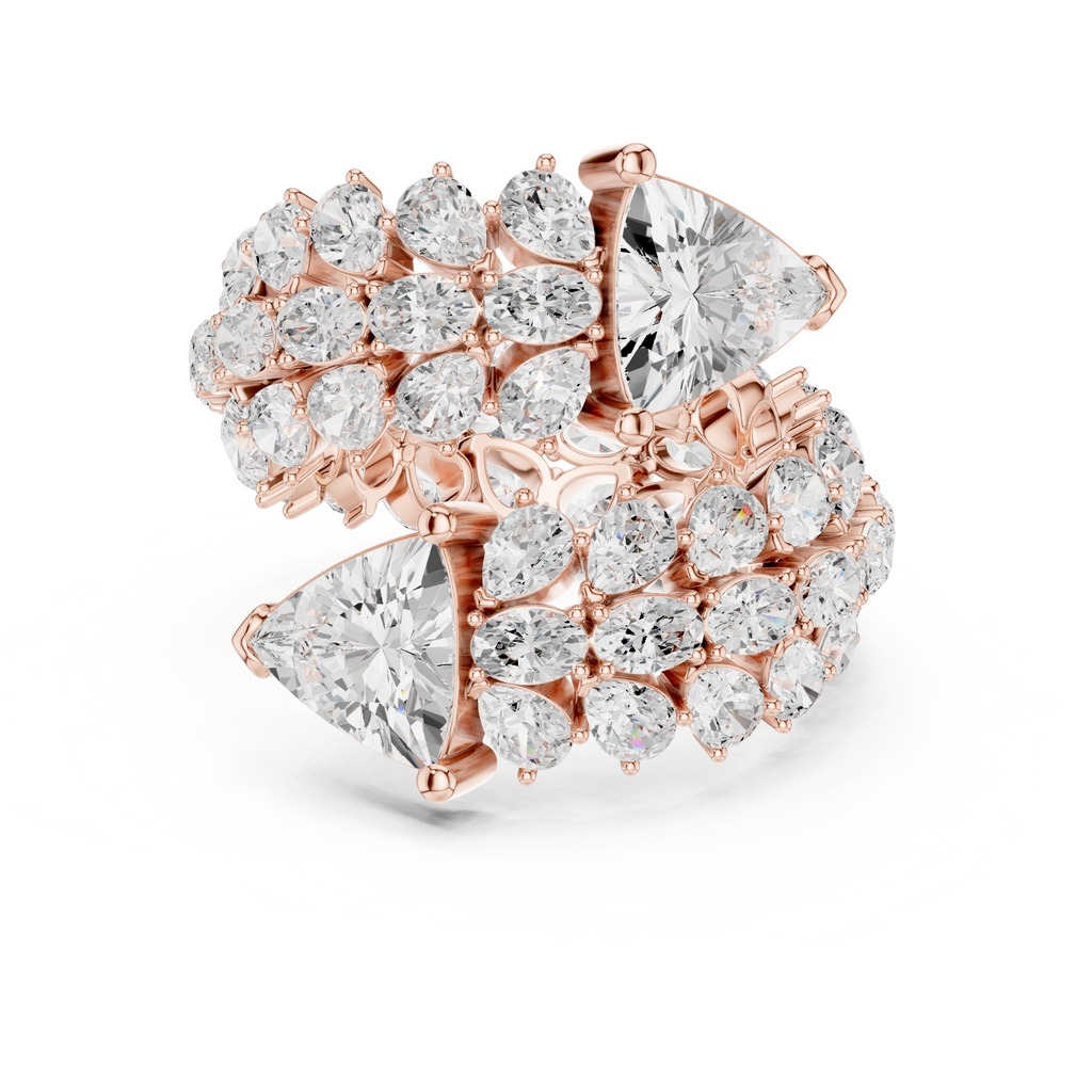 The Fancy Ring