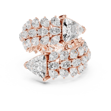 Load image into Gallery viewer, The Fancy Ring