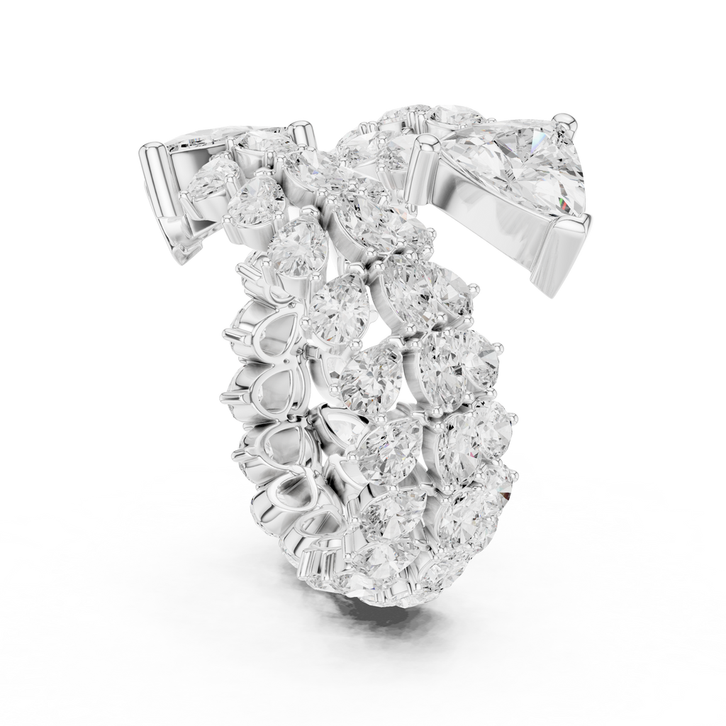 The Fancy Ring