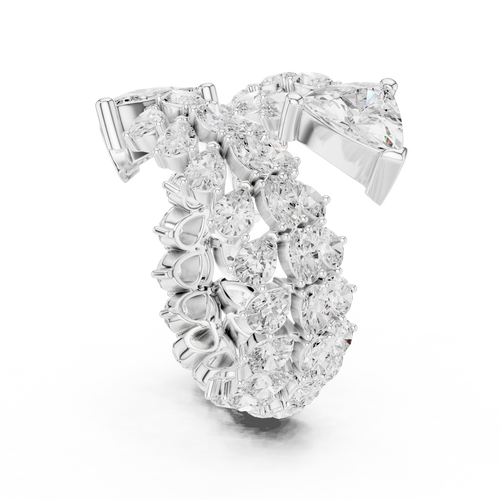 The Fancy Ring