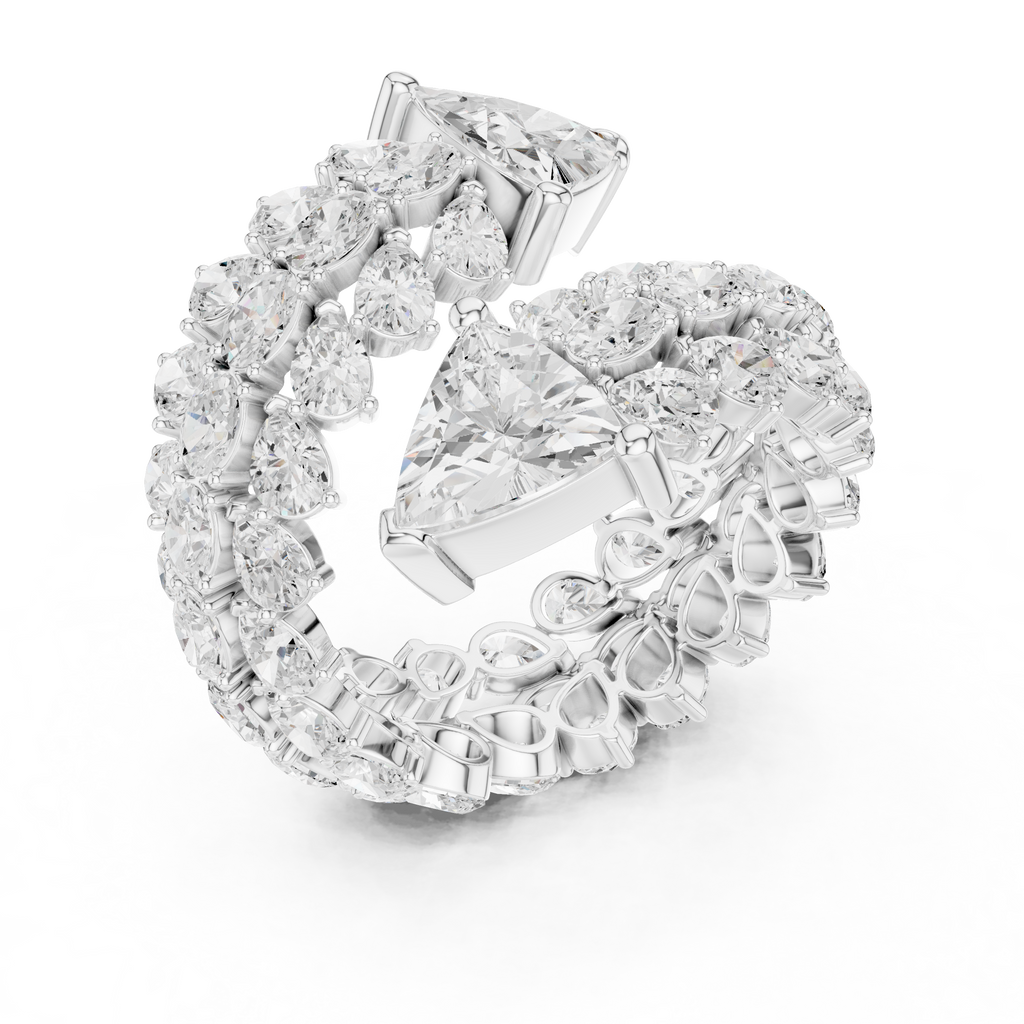 The Fancy Ring