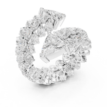 Load image into Gallery viewer, The Fancy Ring