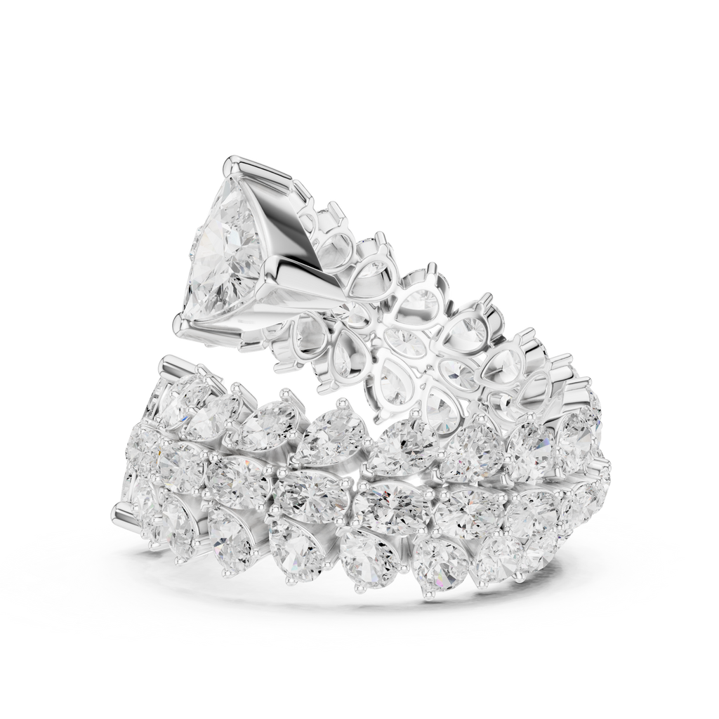 The Fancy Ring