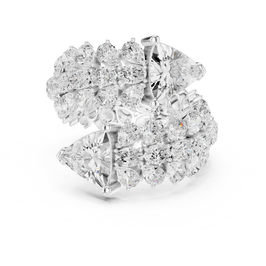 The Fancy Ring