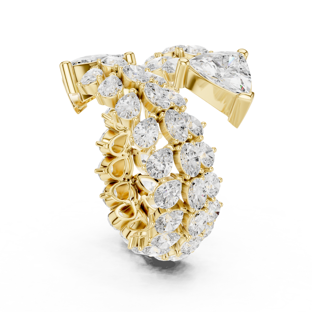 The Fancy Ring