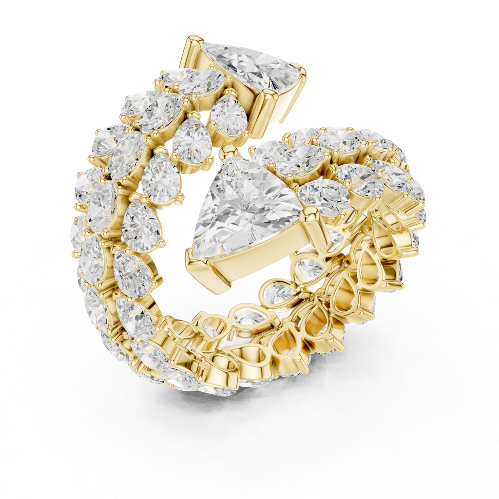 The Fancy Ring