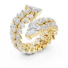 Load image into Gallery viewer, The Fancy Ring