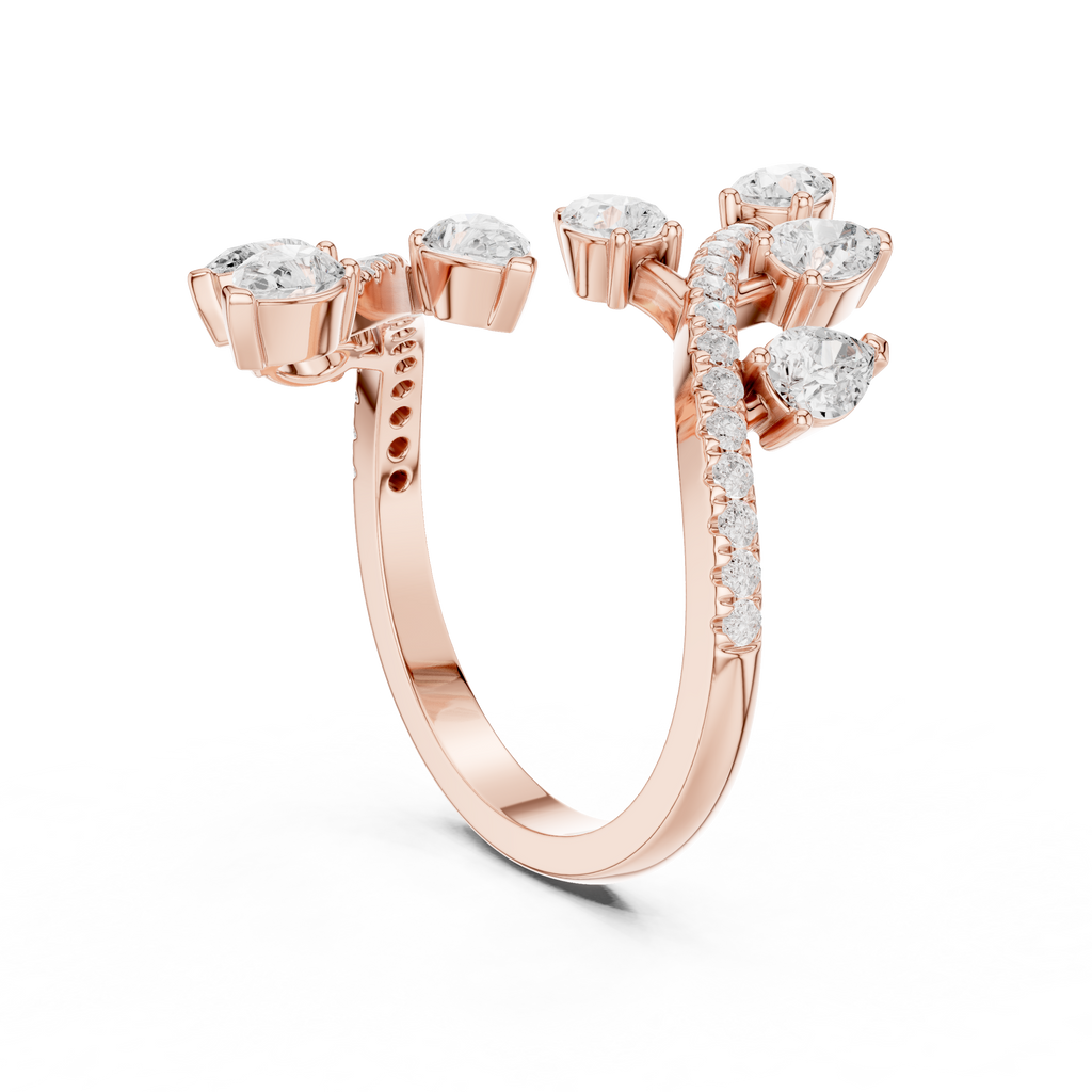 The Fancy Ring