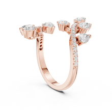 Load image into Gallery viewer, The Fancy Ring