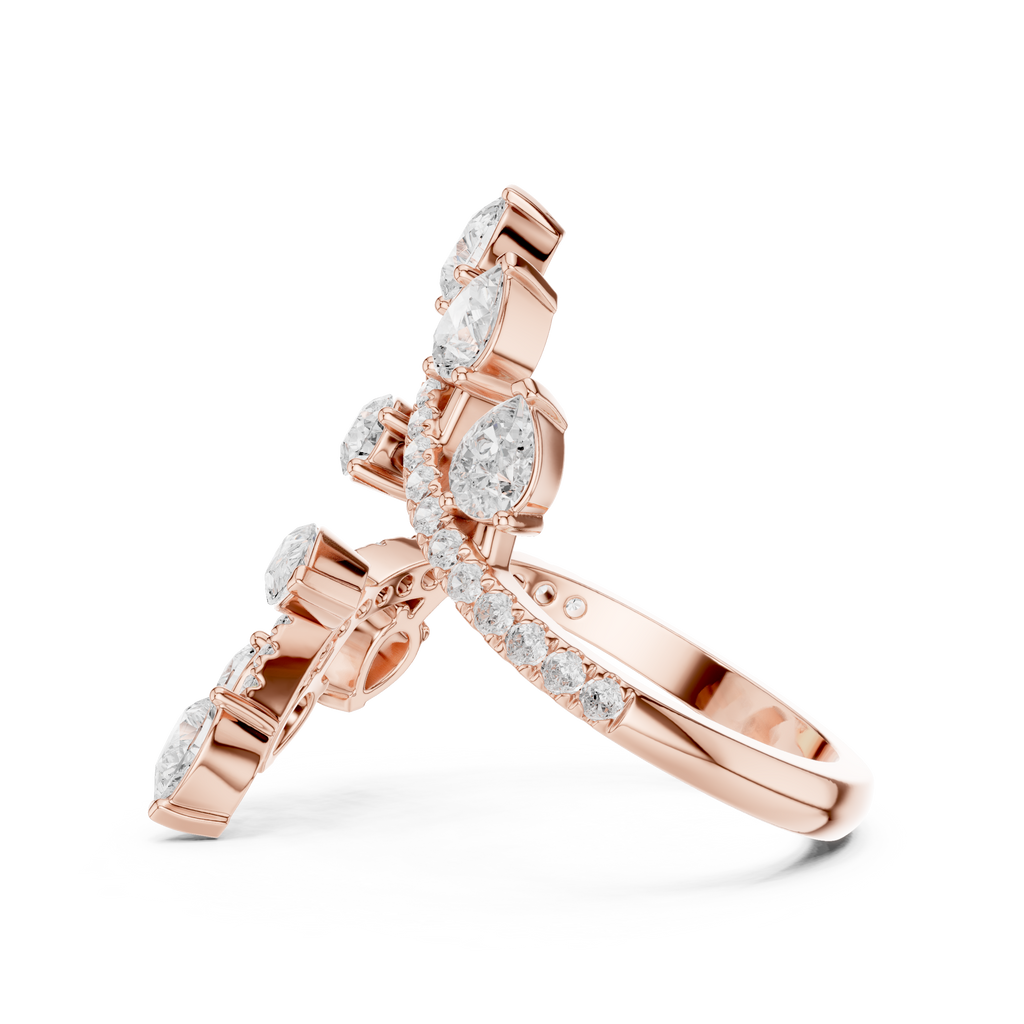 The Fancy Ring