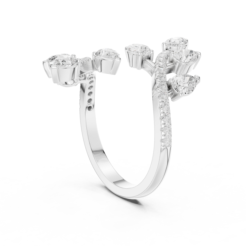 The Fancy Ring