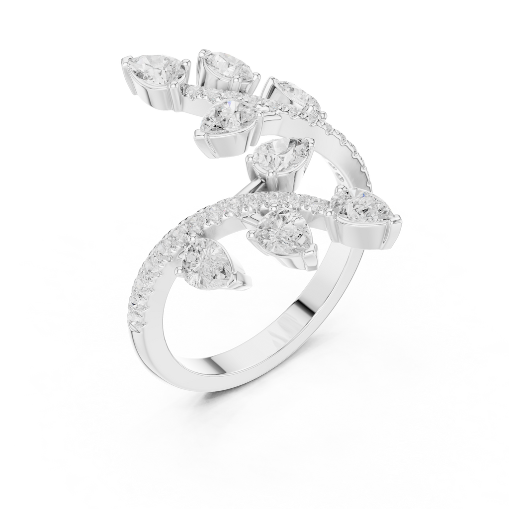 The Fancy Ring
