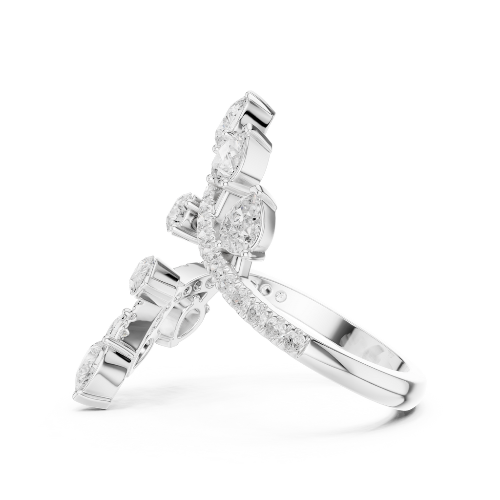 The Fancy Ring