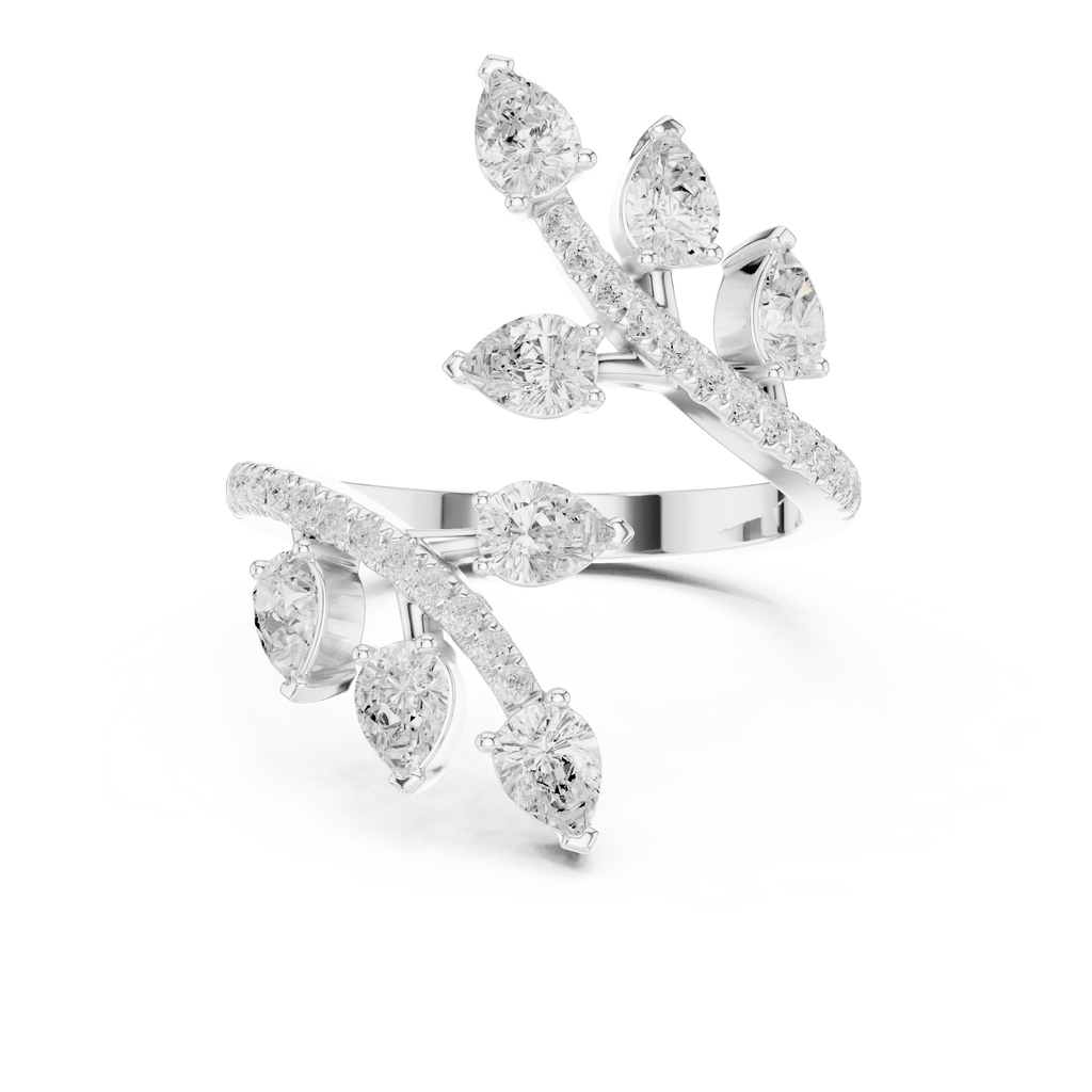 The Fancy Ring