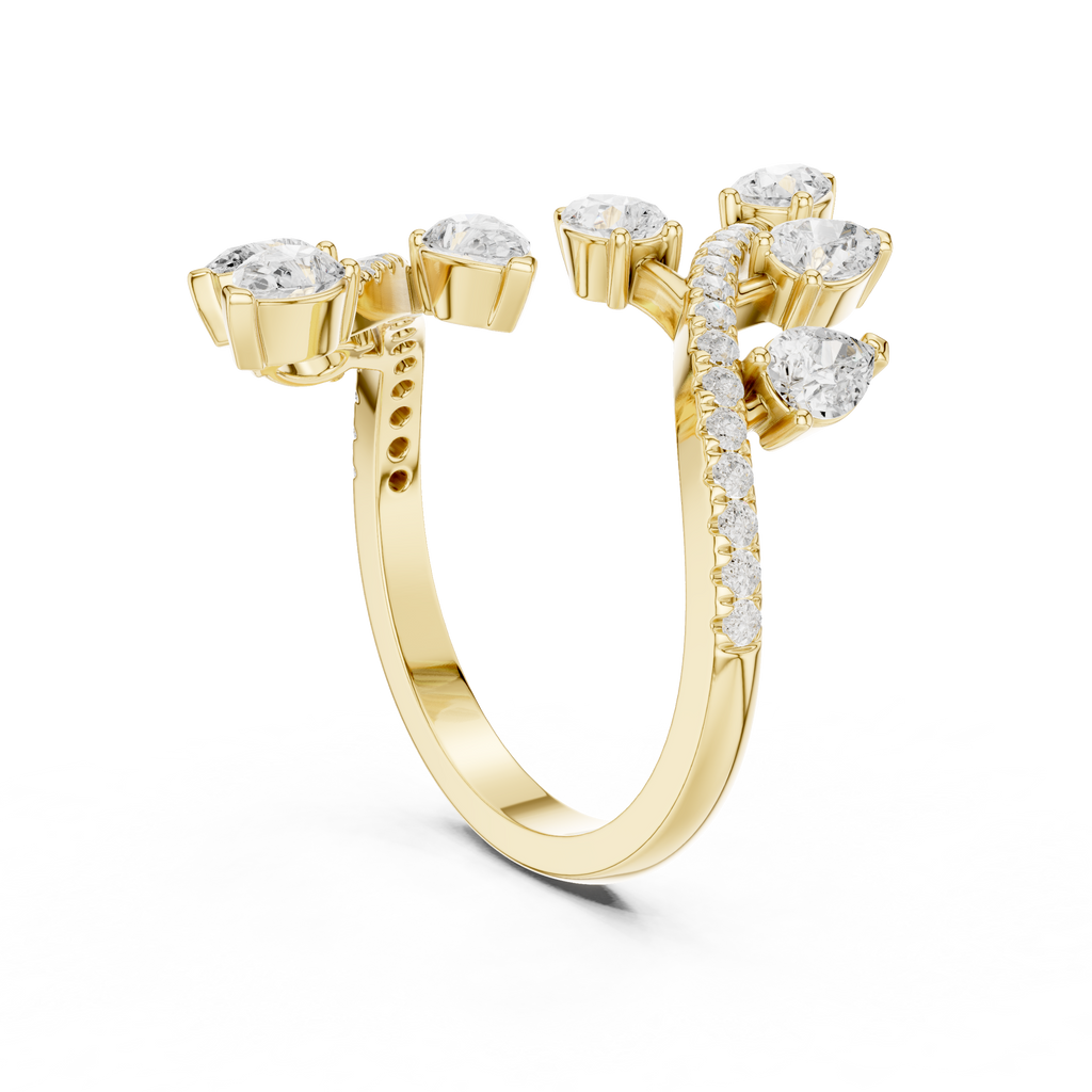 The Fancy Ring