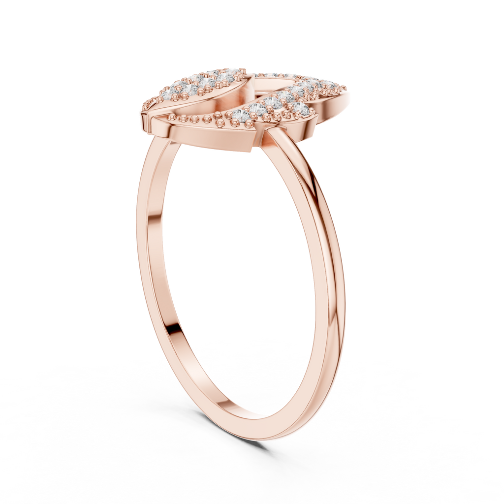 The Fancy Ring
