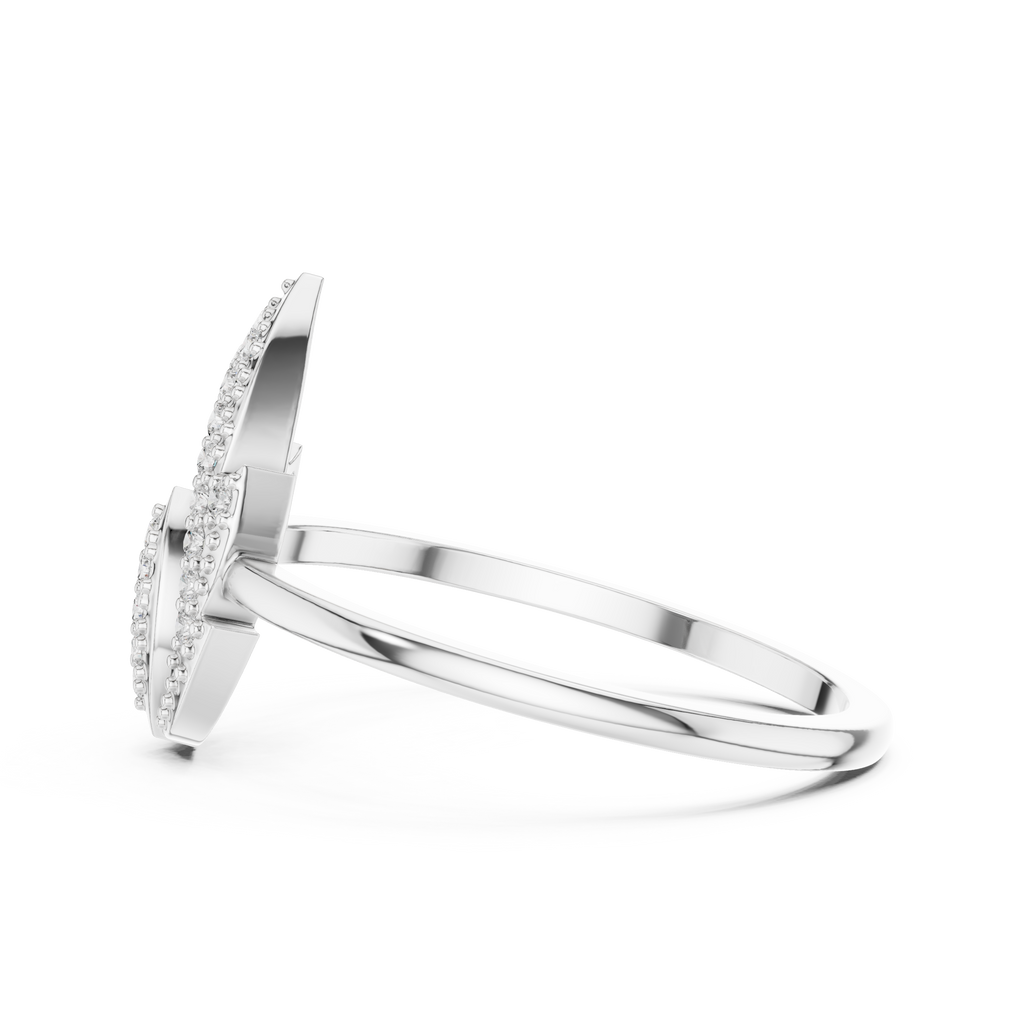 The Fancy Ring