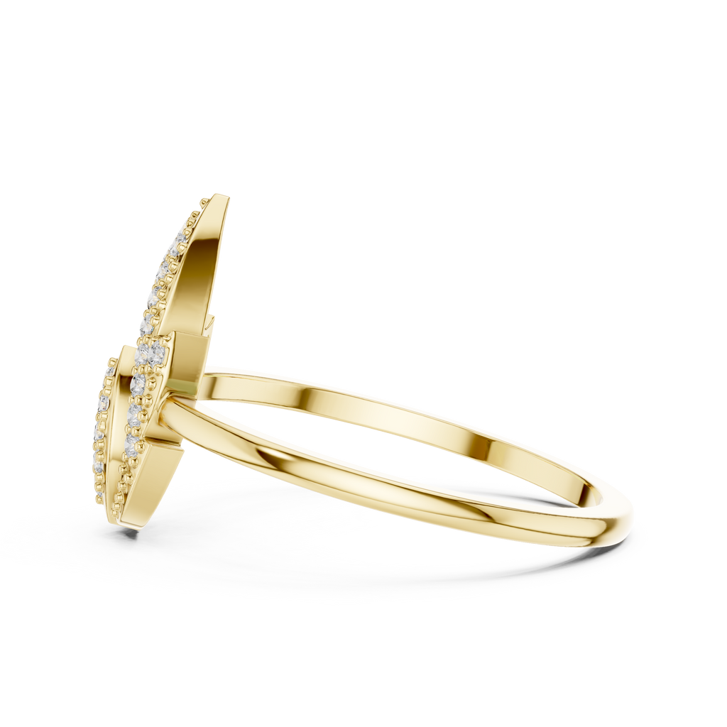 The Fancy Ring
