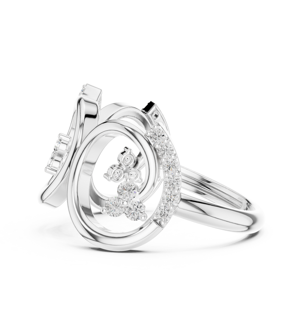 The Fancy Ring