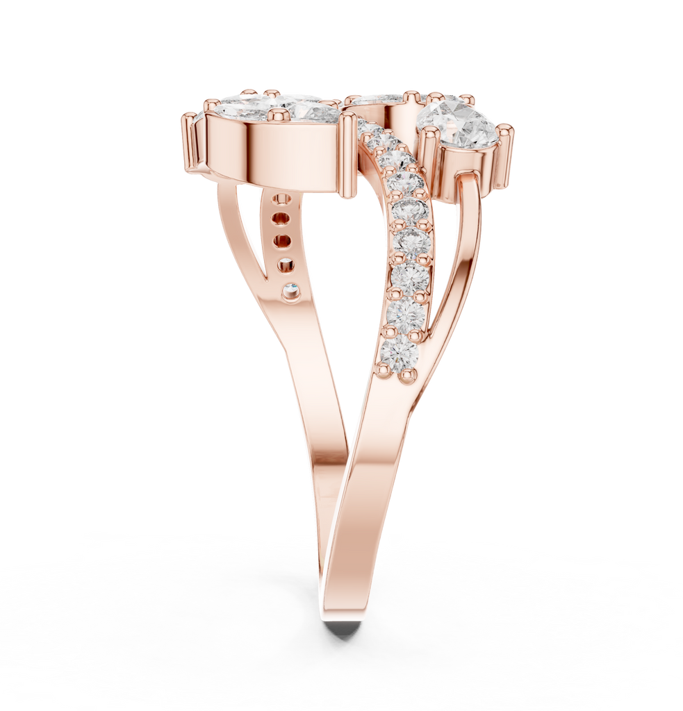 The Fancy Ring