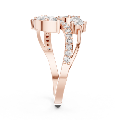 The Fancy Ring