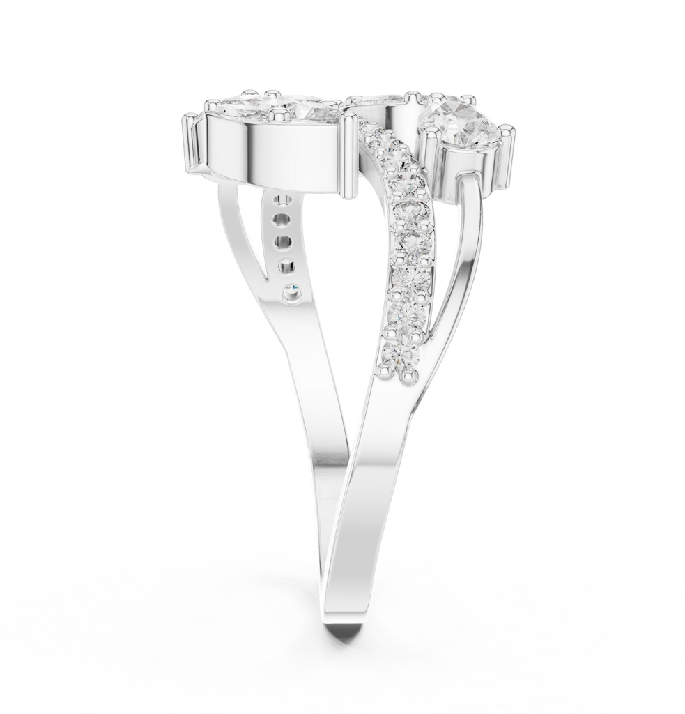 The Fancy Ring