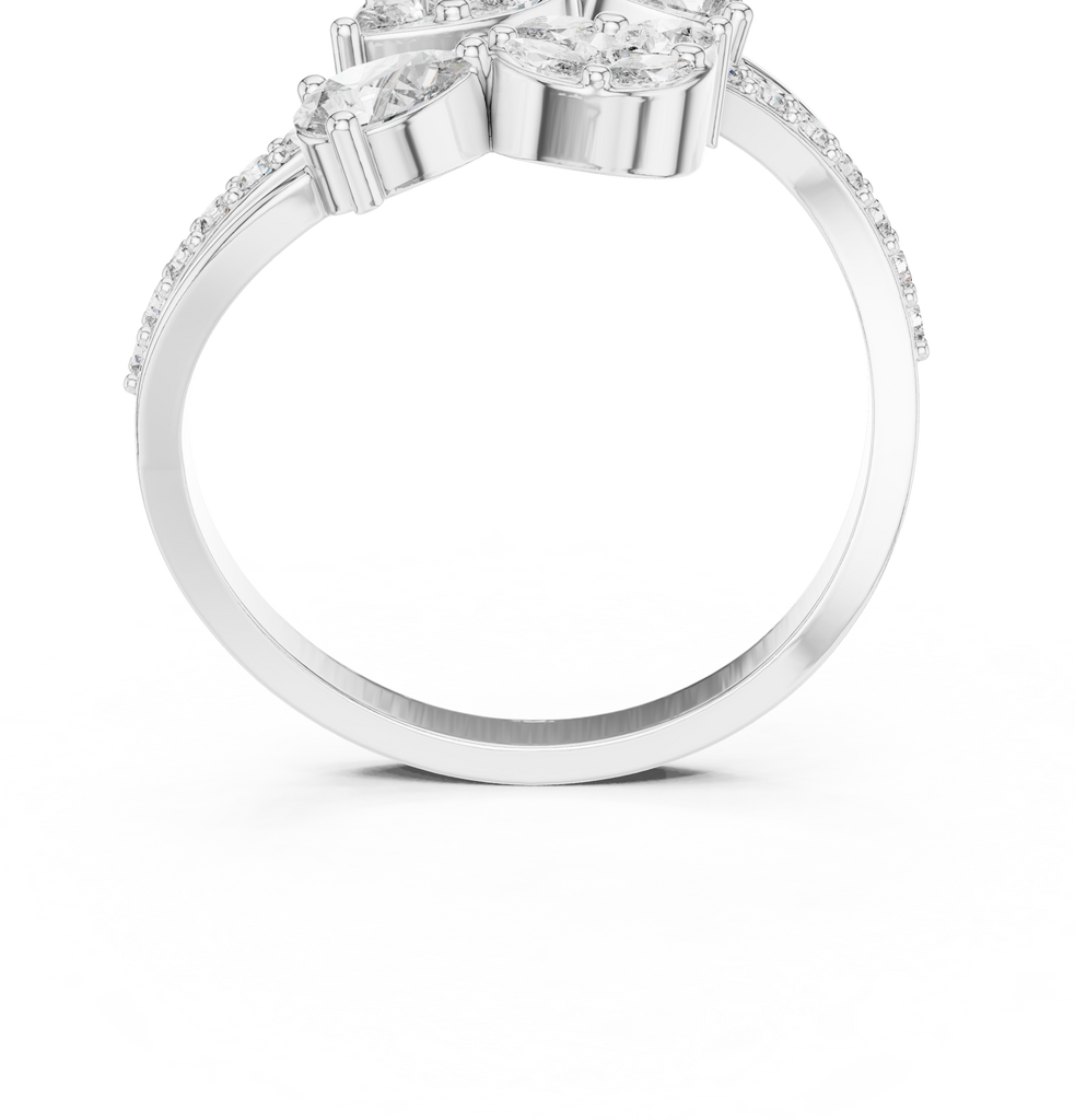 The Fancy Ring
