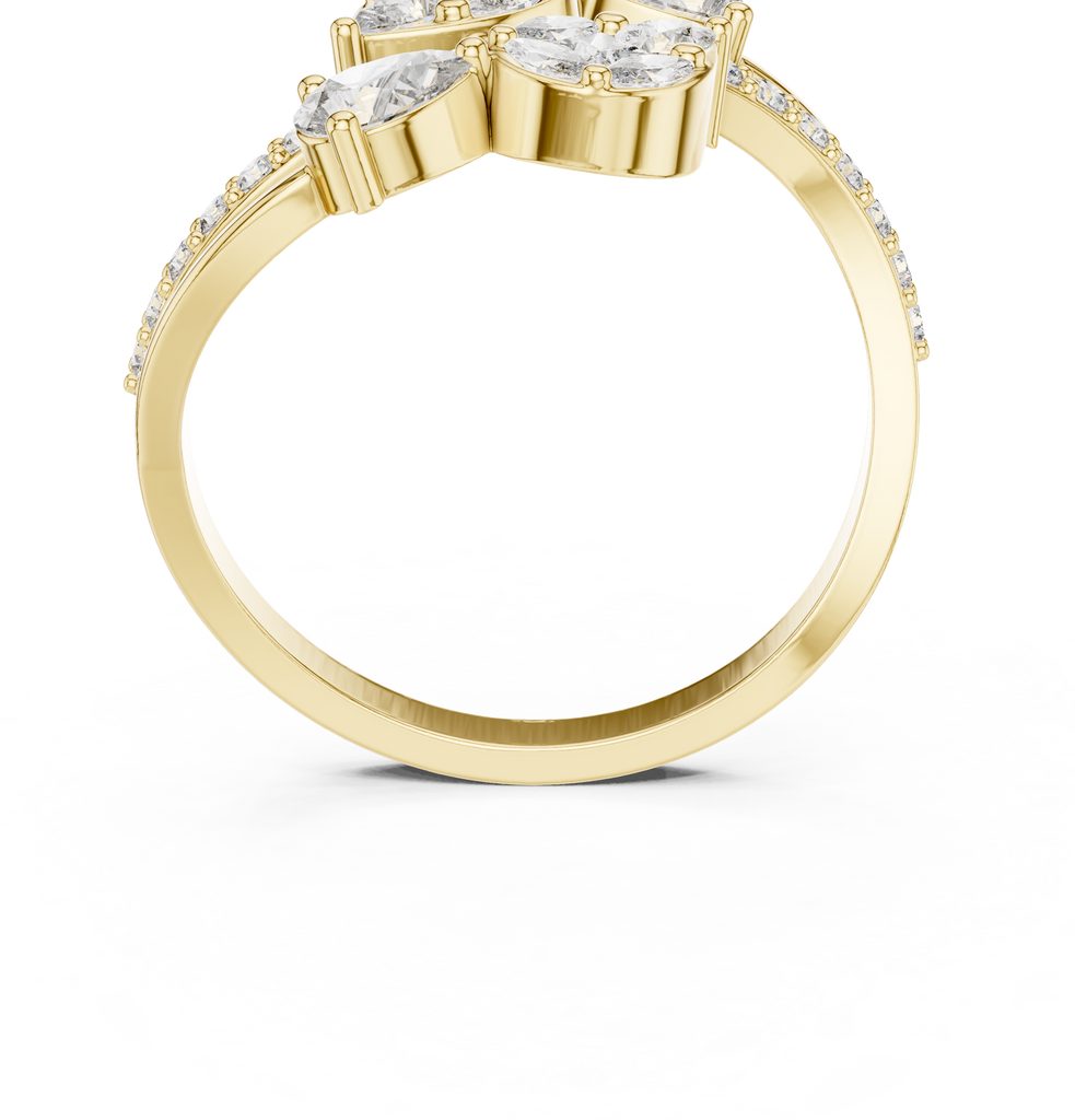 The Fancy Ring