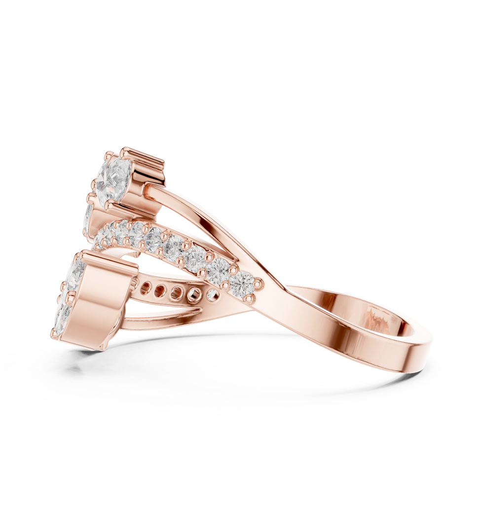 The Fancy Ring