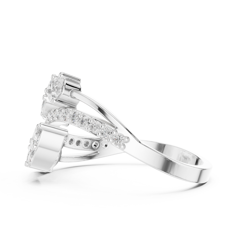 The Fancy Ring