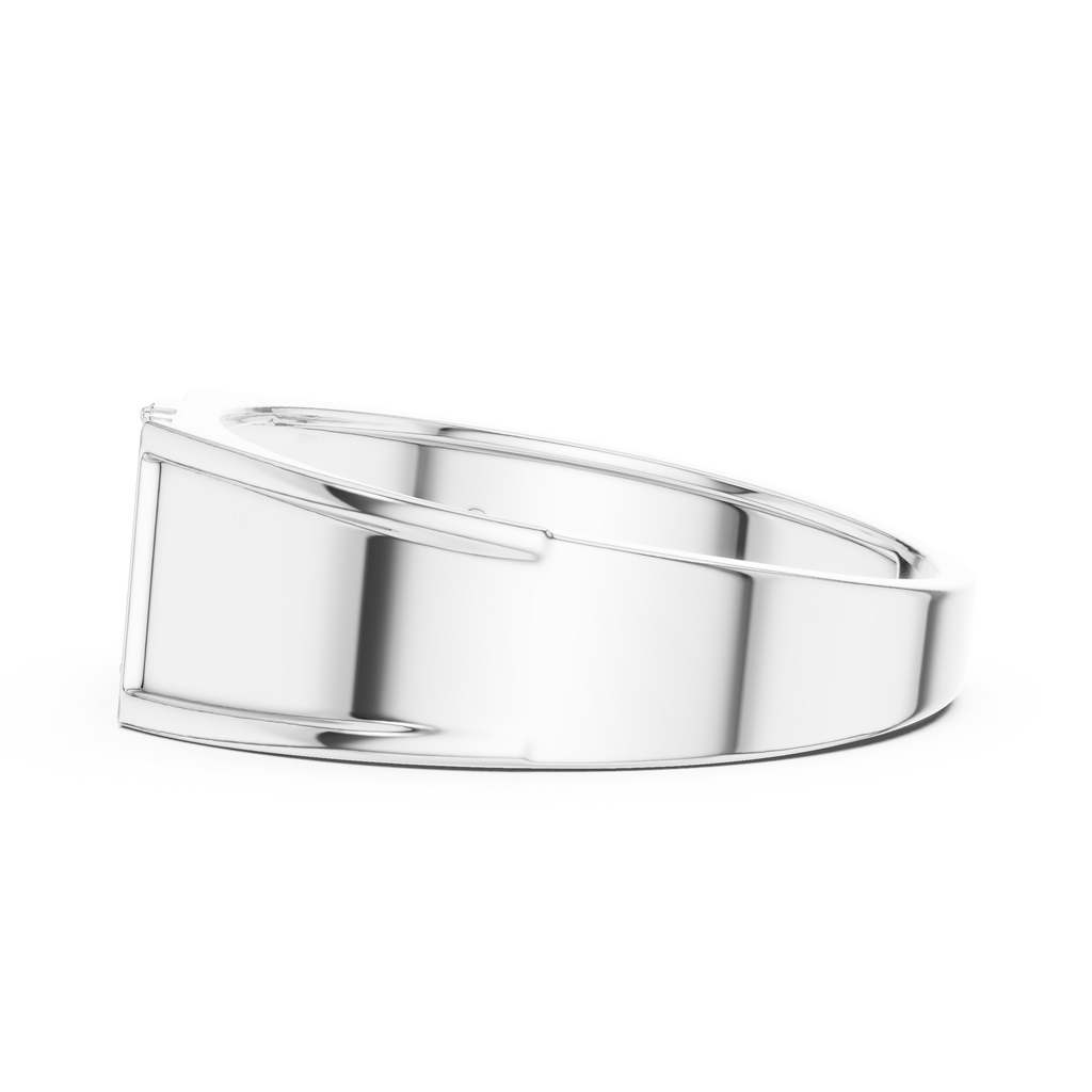 The Fancy Ring