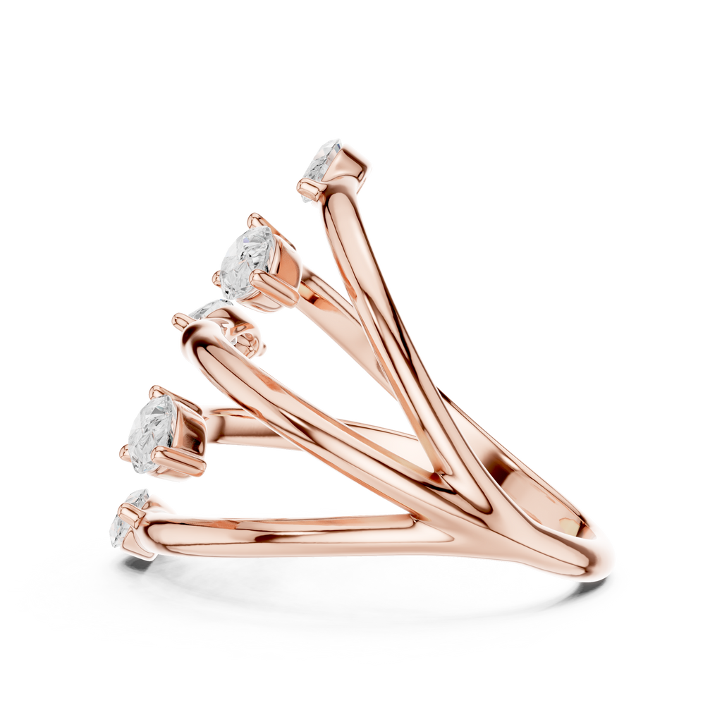 The Fancy Ring