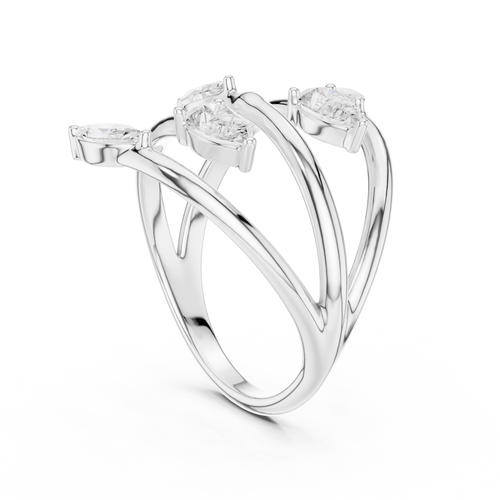 The Fancy Ring